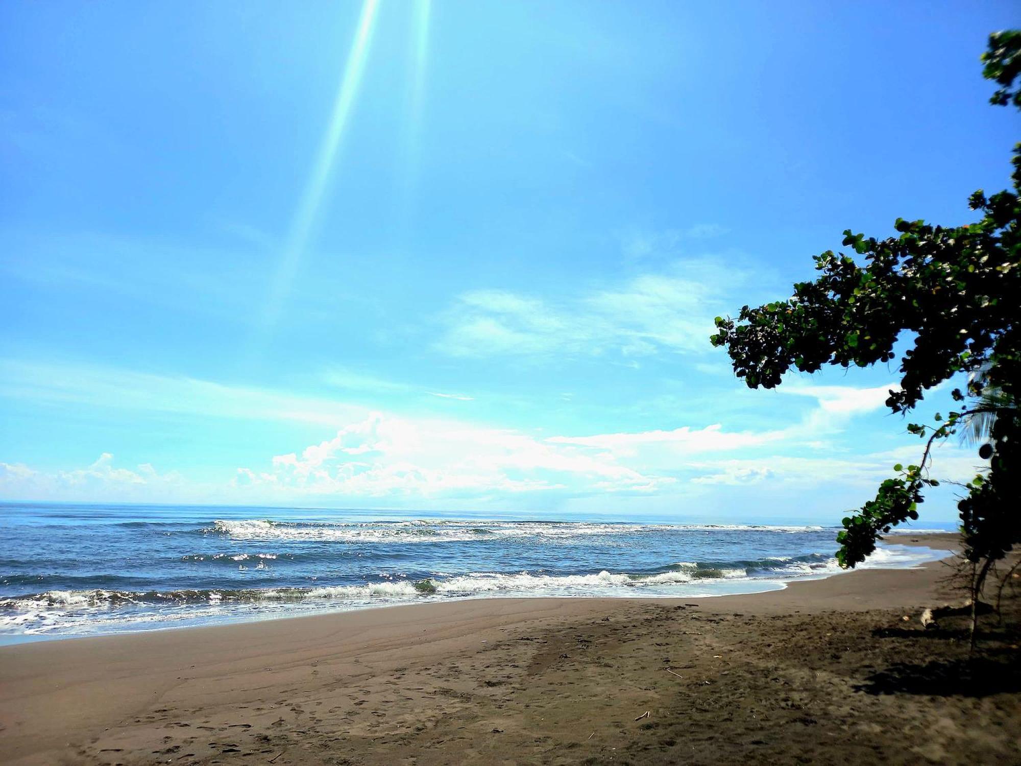 Tortuguero Adventures Beach House المظهر الخارجي الصورة