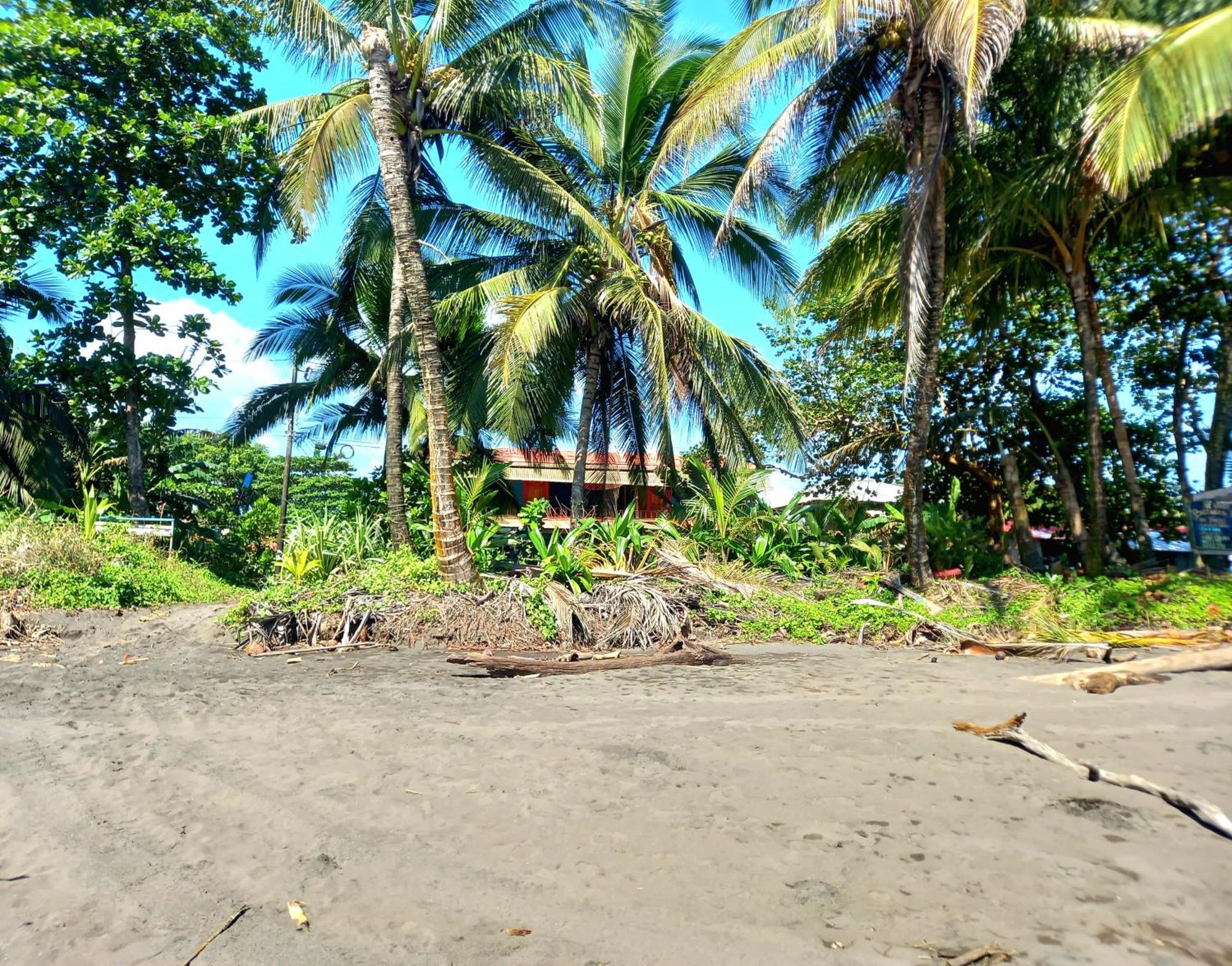 Tortuguero Adventures Beach House المظهر الخارجي الصورة