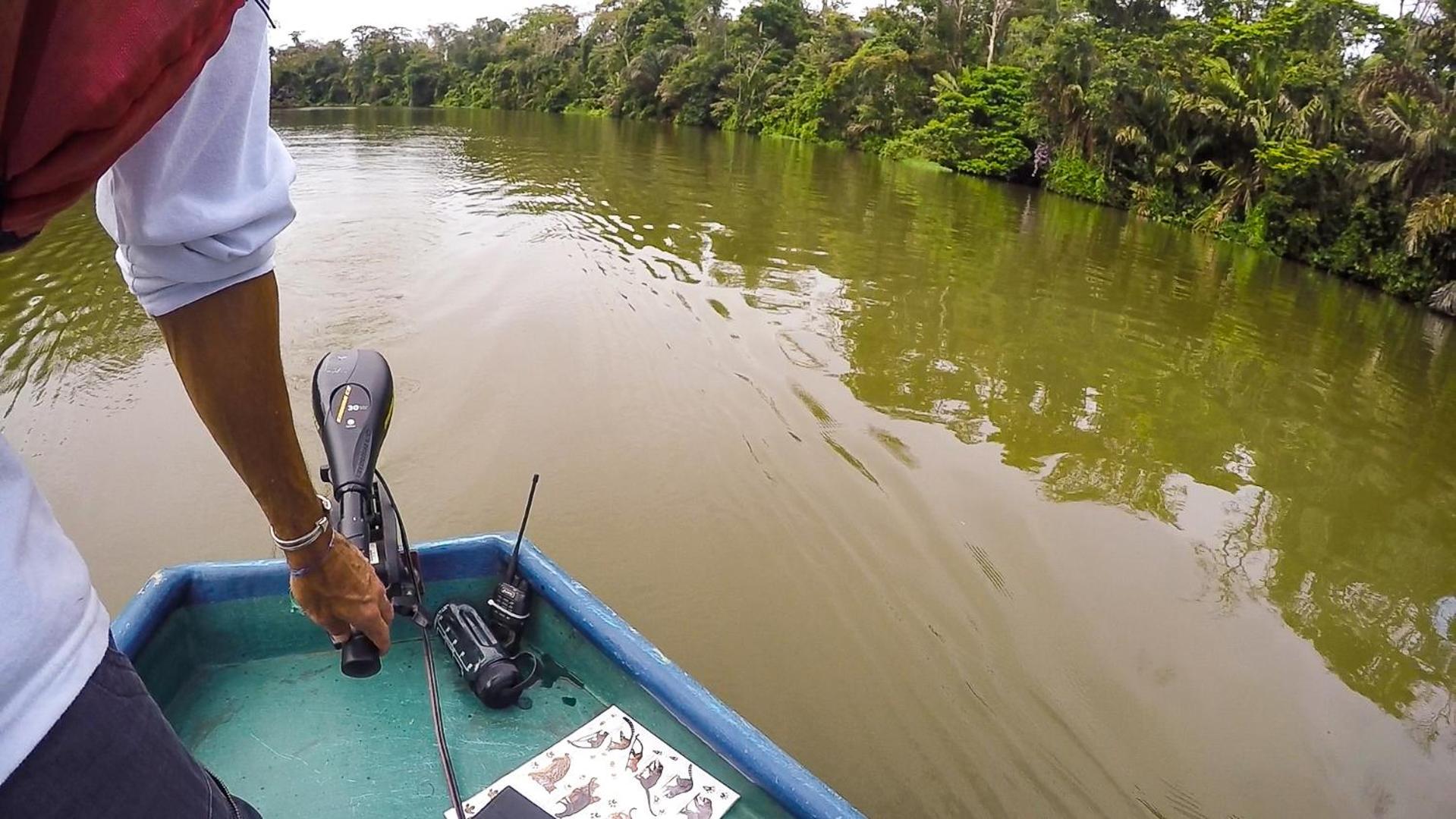 Tortuguero Adventures Beach House المظهر الخارجي الصورة