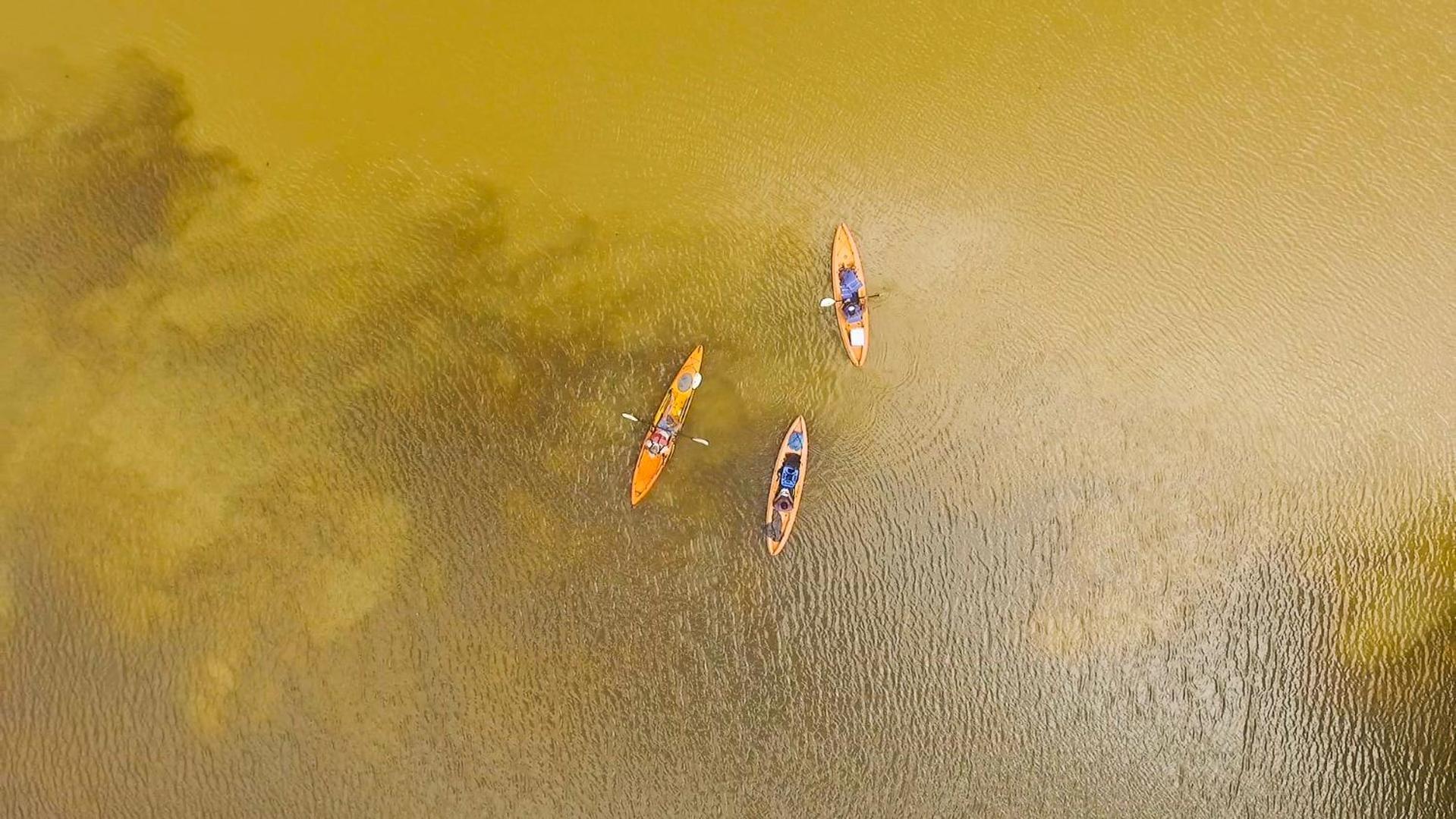 Tortuguero Adventures Beach House المظهر الخارجي الصورة