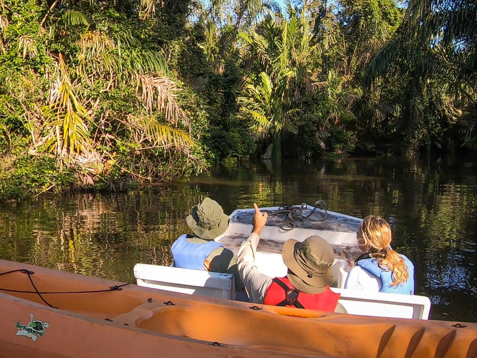 Tortuguero Adventures Beach House المظهر الخارجي الصورة