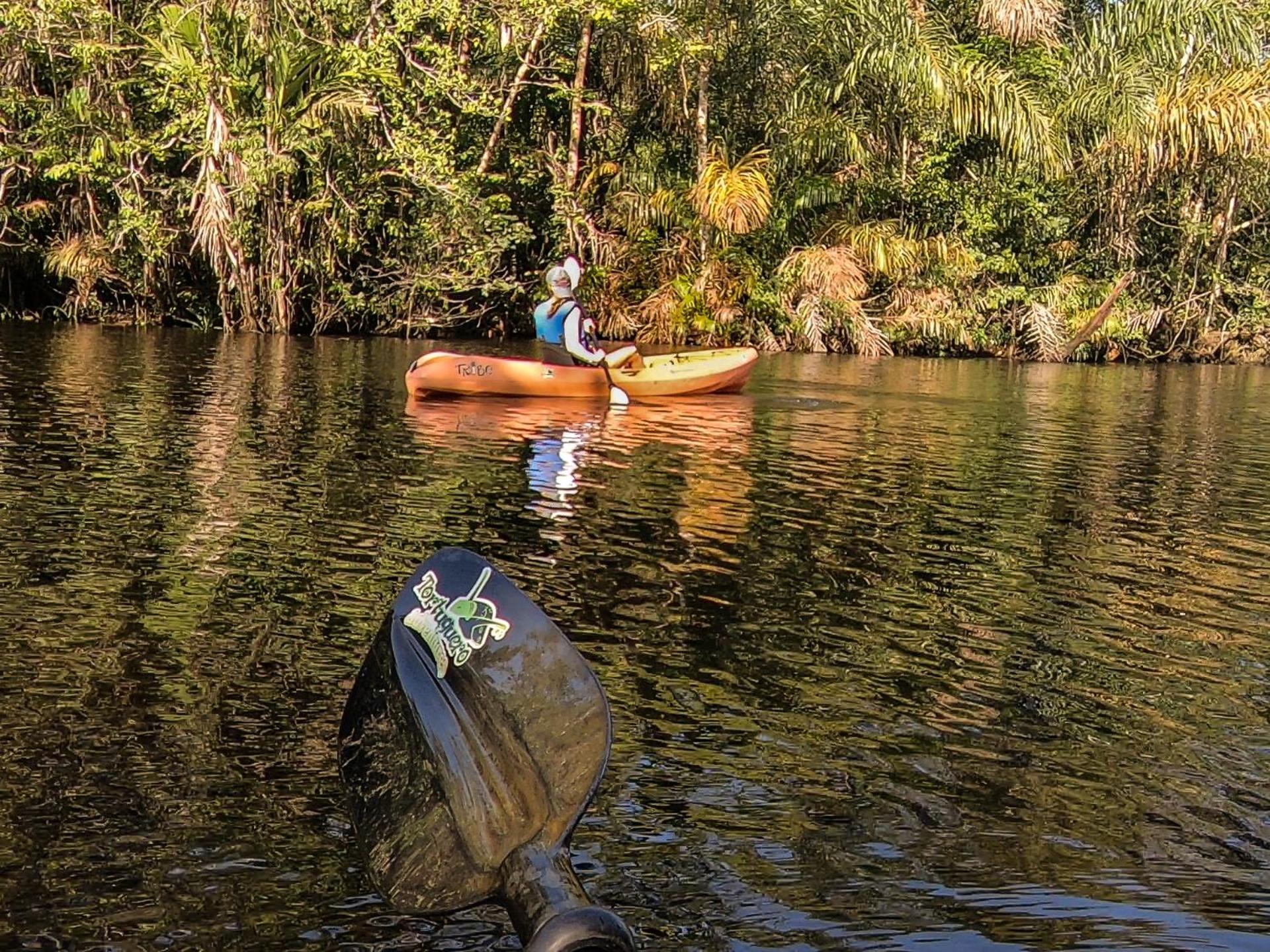 Tortuguero Adventures Beach House المظهر الخارجي الصورة