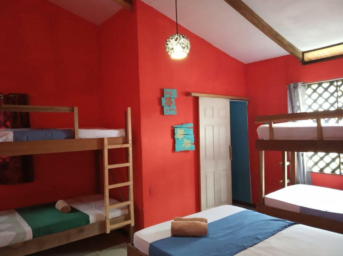 Tortuguero Adventures Beach House المظهر الخارجي الصورة