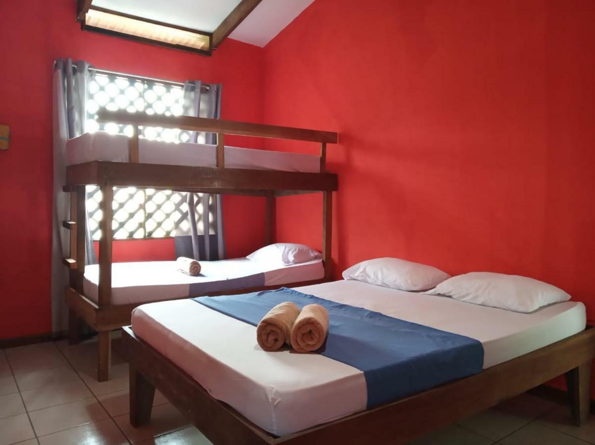 Tortuguero Adventures Beach House المظهر الخارجي الصورة