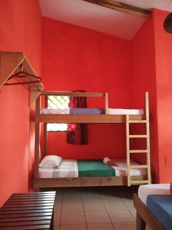 Tortuguero Adventures Beach House المظهر الخارجي الصورة