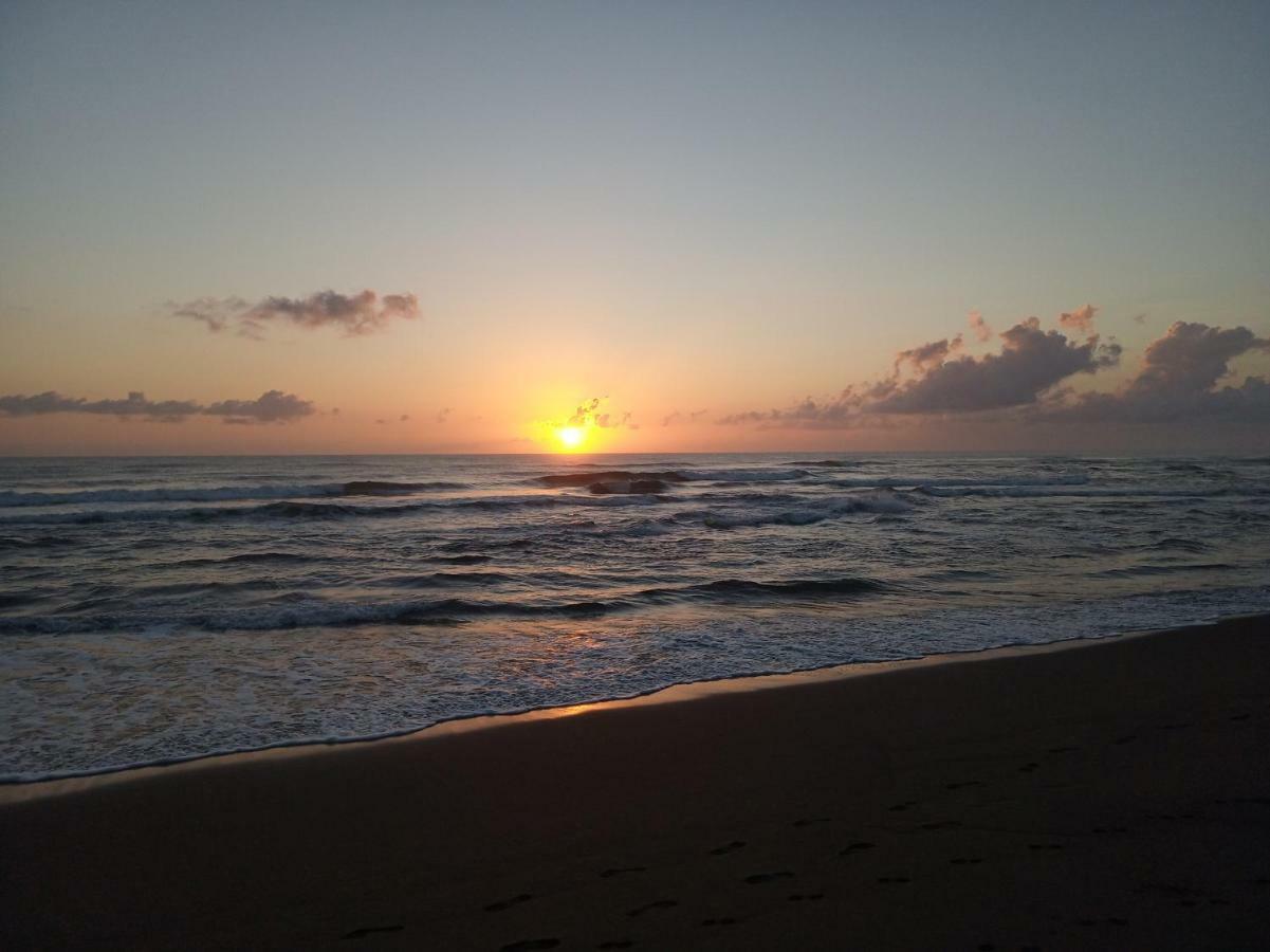 Tortuguero Adventures Beach House المظهر الخارجي الصورة