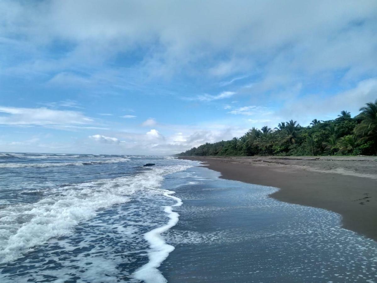 Tortuguero Adventures Beach House المظهر الخارجي الصورة