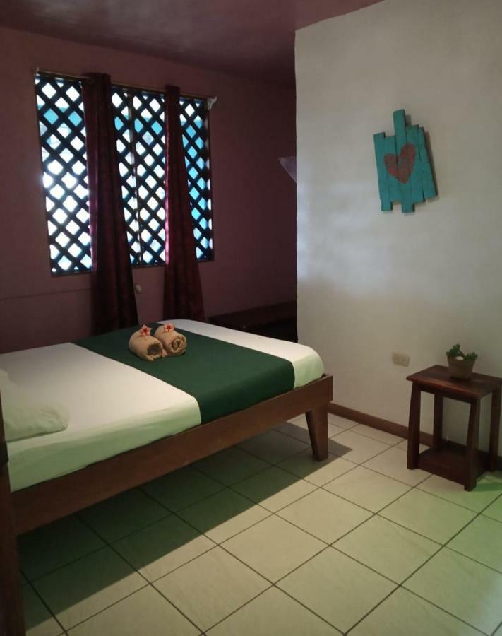 Tortuguero Adventures Beach House المظهر الخارجي الصورة