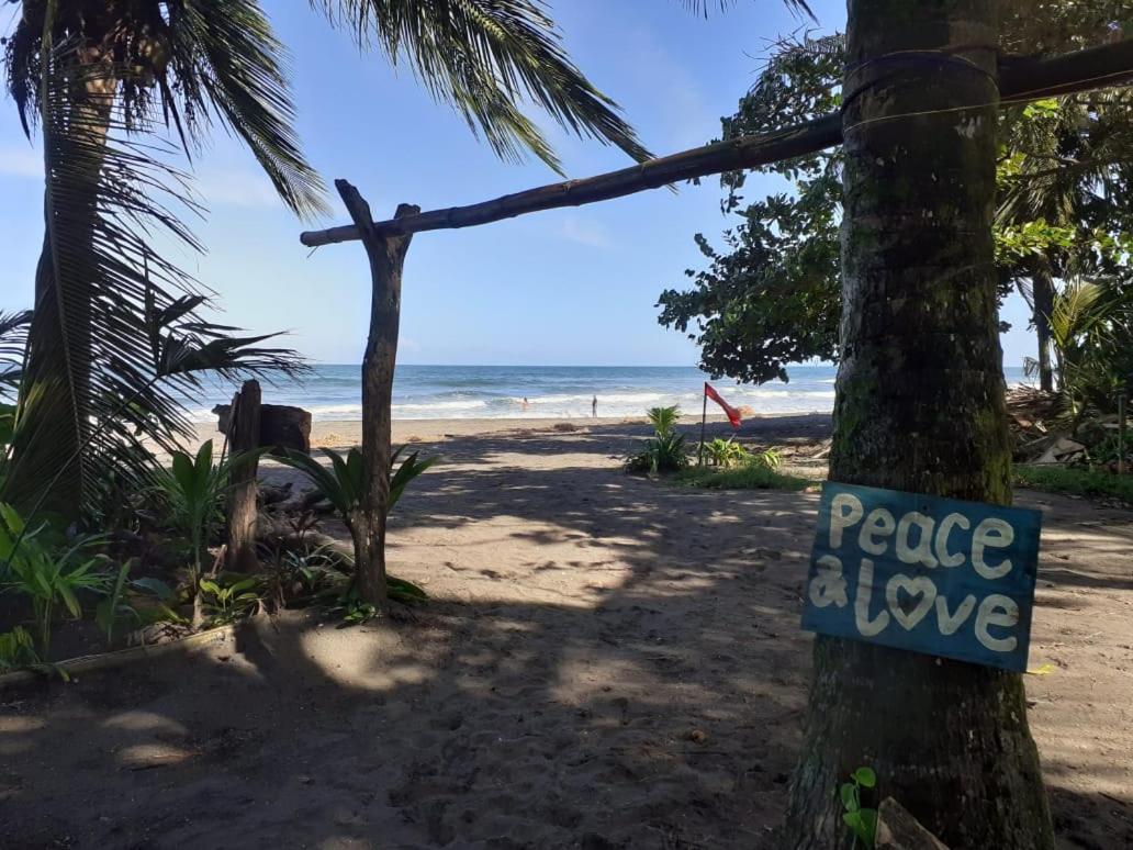 Tortuguero Adventures Beach House المظهر الخارجي الصورة